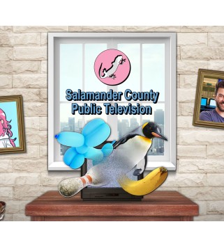 Salamander County Public Television Steam Key GLOBAL